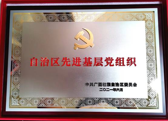 国际贸易系教工党支部荣获自治区先进基层党组织奖牌.jpg